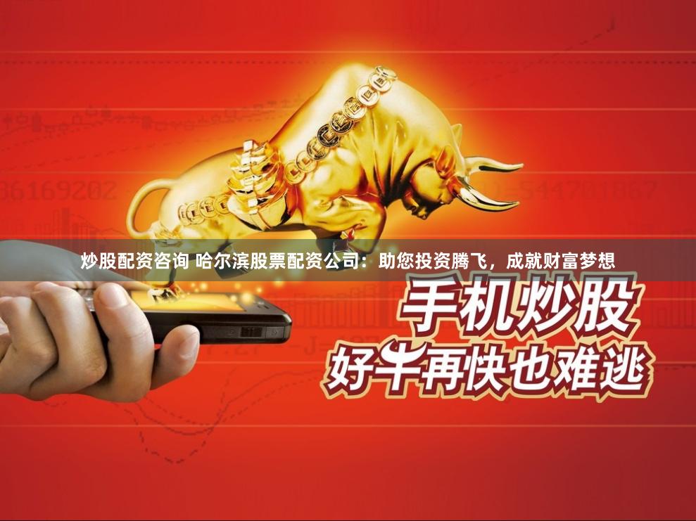 炒股配资咨询 哈尔滨股票配资公司：助您投资腾飞，成就财富梦想