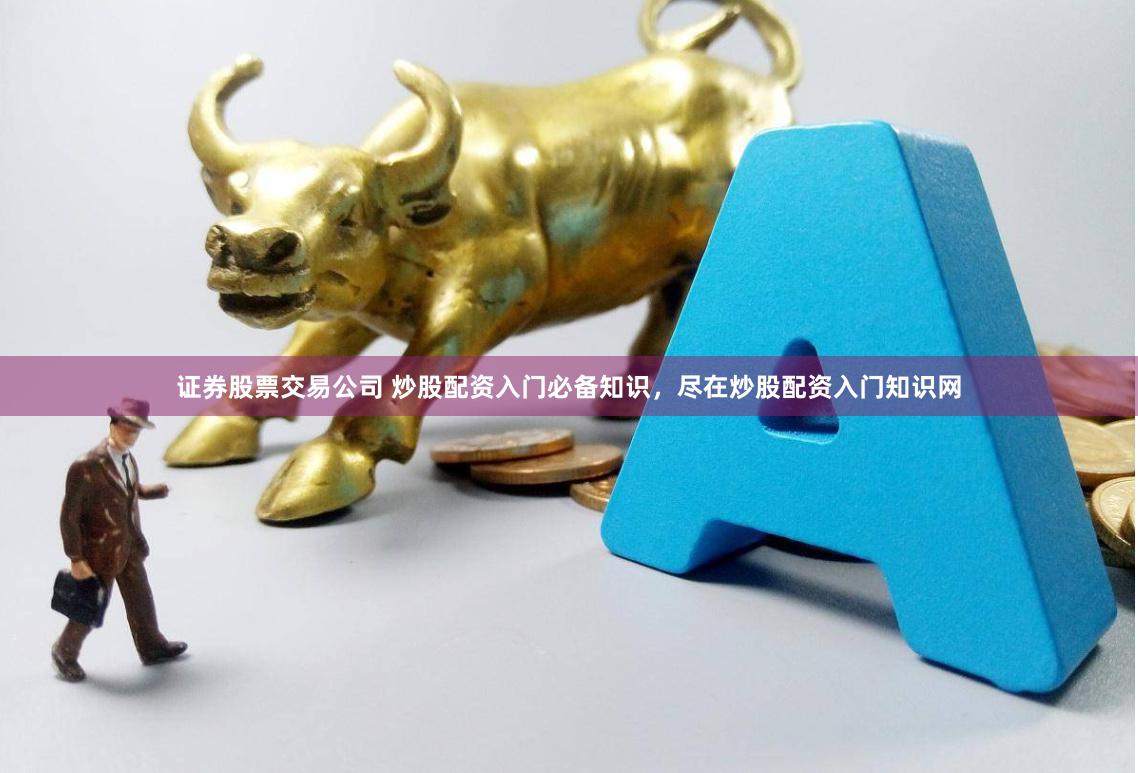 证券股票交易公司 炒股配资入门必备知识，尽在炒股配资入门知识网